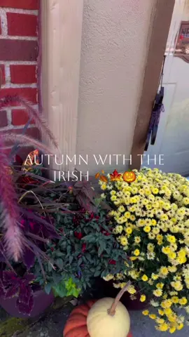 Fall has arrived in Ireland (read: Weston, MO)! Come stop by & get all the cozy, Irish seasonal essentials 🍀🍁 #celticranch #celticranchstyle #shopcelticranch #shopsmall #shoplocal               