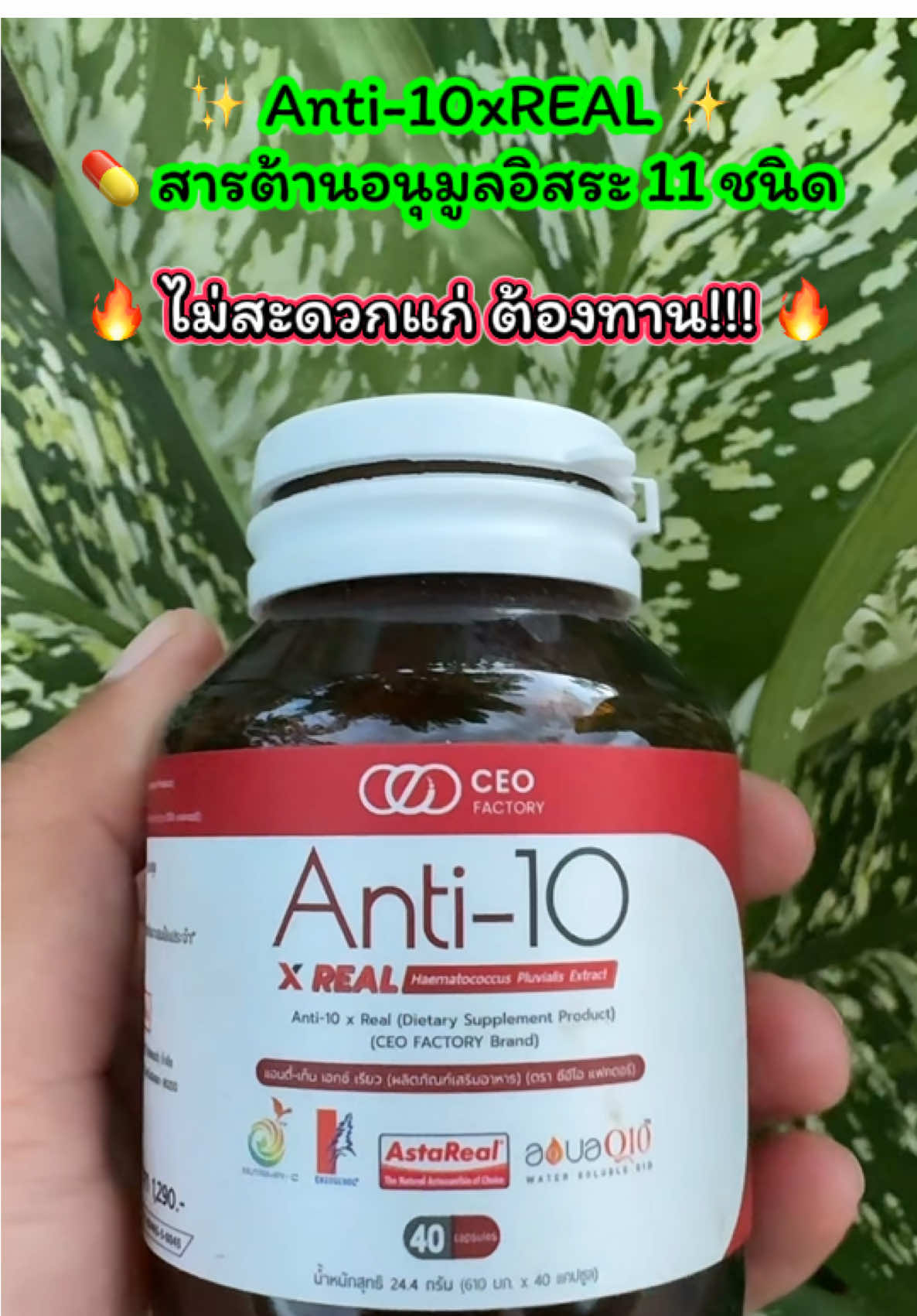 ✨ Anti-10xREAL ✨ 💊 สารต้านอนุมูลอิสระ 11 ชนิด 🔥 ไม่สะดวกแก่ ต้องทาน!!! 🔥 อาหารเสริมเพื่อสุขภาพ  อาหารเสริมชาวออฟฟิศ #ceofactory #ceofactorythailand #อาหารเสริมเพื่อสุขภาพ #ไม่สะดวกแก่#เจ้ฝนพิกัดของถูก  @เจ้ฝนบอกพิกัดของดี  @เจ้ฝนบอกพิกัดของดี  @เจ้ฝนบอกพิกัดของดี 