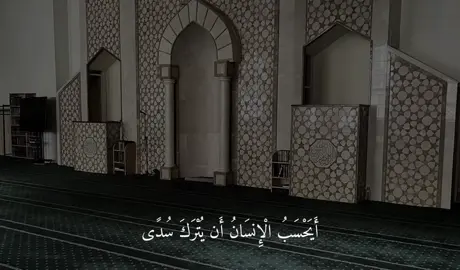 (أَيَحْسَبُ الْإِنسَانُ أَن يُتْرَكَ سُدًى) #قران #سورة_القيامة #القارئ_عبدالرحمن_العولقي #قران_كريم #تلاوة_خاشعة 