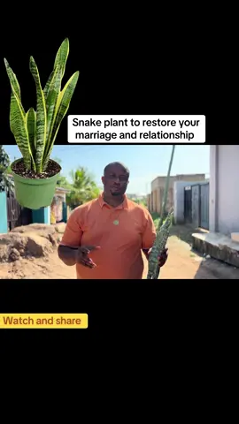 Do this and help restore your marriage and relationship #spiritualtiktok🧿 #marriage #prophet_davidgoodgod #prophetnonsoofficial #Love @PROPHET KING DAVID GOODGOD 