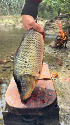 Doğada Sazan Balığı / Çarp fish in nature. #Foodie #BBQ #Grill #Seafood #Cooking                         