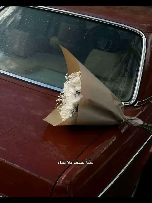 #كلية_الزراعه_جامعة_عمر_المختار_البيضاء💜  #البيضاء_الجبل_الاخضر #اعادة_النشر🔃 #ليبيا🇱🇾  #ليبيا🇱🇾 