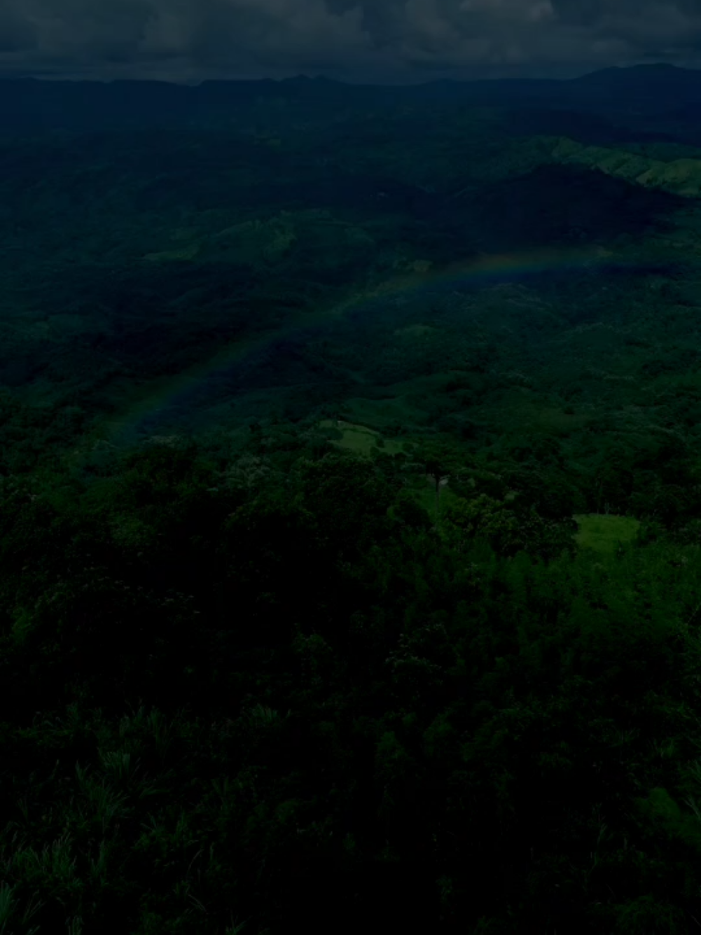 سوڕەتی (آل عمران) - القارئ : انس جلهوم