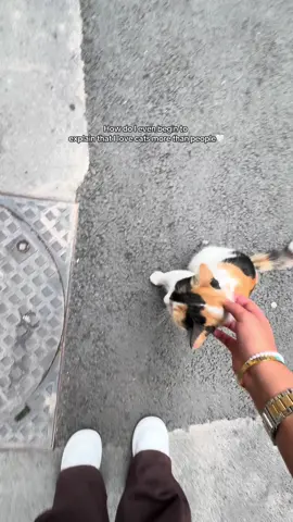 Io gli amo tanto ma tanto mashallah #foryou 