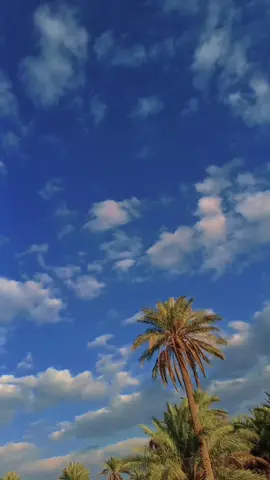 عجاف الأيام يعقبها يوم الغوث وإن طالت. 🤍 #باسم_الكربلائي 