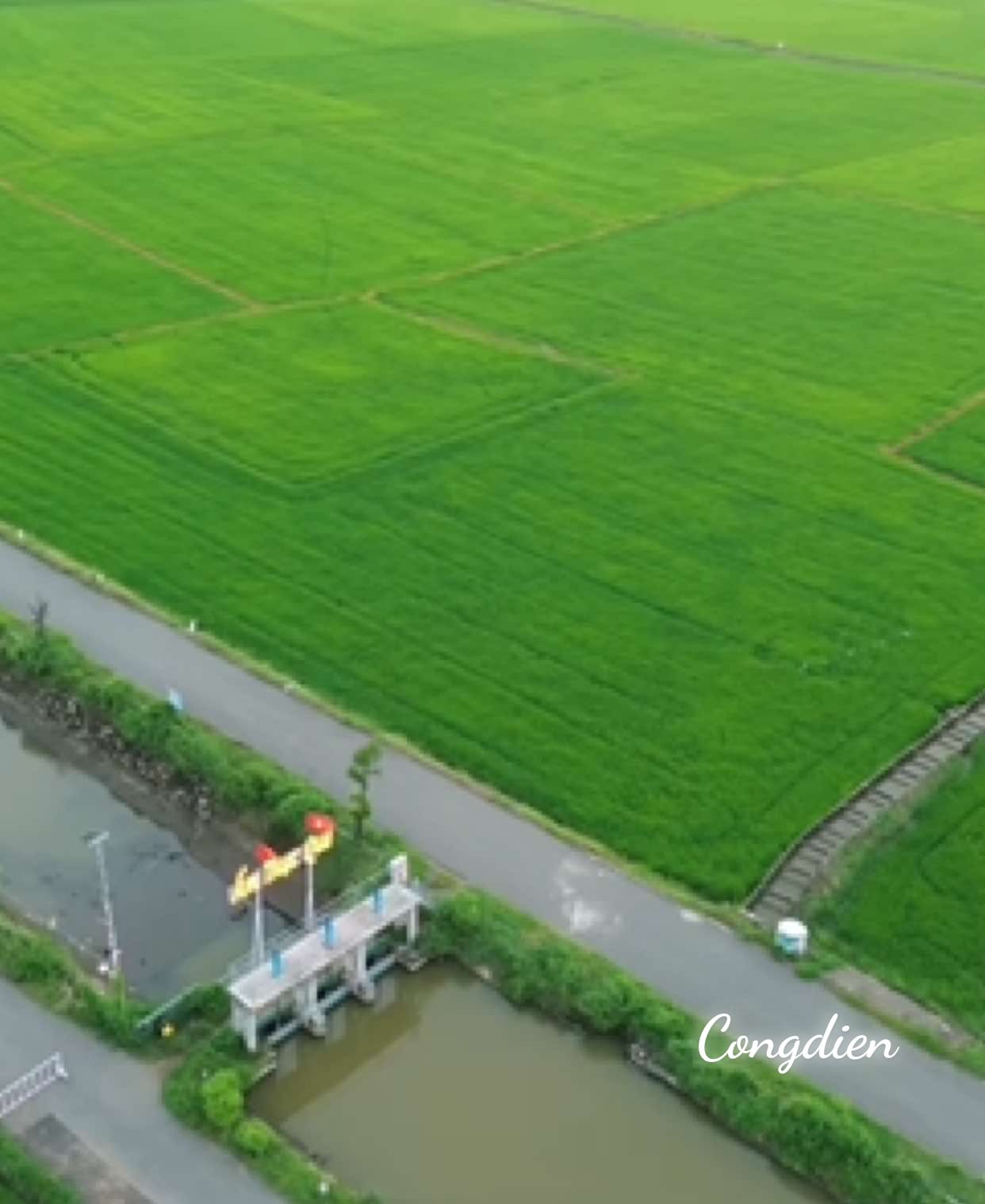 #longdien ##choqueannhut #bariavungtau72 #flycammini 