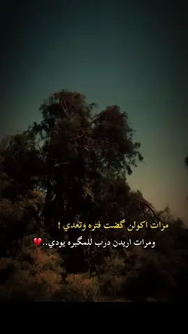 #عباراتكم🥀 #😔💔🥀 #تصويري📷 #تصميم_فيديوهات🎶🎤🎬 #تصويري📷احترافي_الاجواء👌🏻🕊😴 #تصوير_ايفون #المصمم_حسوني🚸🔕 #ابـو_هـلاك 