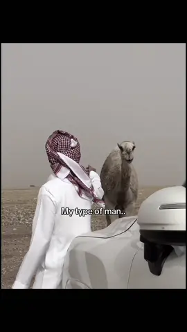 #جنتل_مان #بدوي #ناقه #لايك__explore___ #اكسبلور 