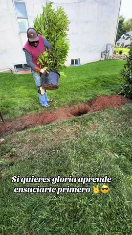 #viral_video_tiktok #likess #comenten_cual_desean😊🖤 