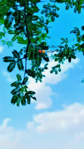 #اللهم_صل_على_محمد_وآل_محمد #جمعة_مباركة 