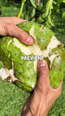 Sabías esto? Síguenos para más consejos de salud #frutas #comidasaludable #consejosdesalud #viral #alimentosdañinos 