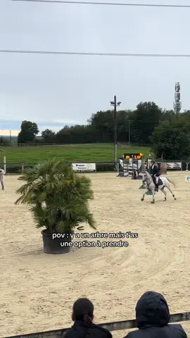 c’est pas sérieux franchement  #fyppppppppppppppppppppppp #equestrian #viral 