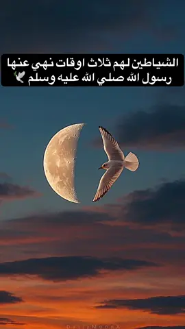 الشياطين لهم ثلاث اوقات نهي عنها رسول الله صلي الله عليه وسلم 🕊️#اللهم_صلي_على_نبينا_محمد #fyppppppppppppppppppppppp #قصص_دينيه #قصص_الانبياء #الشيخ_الشنقيطي 