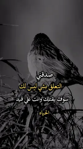 #افضل_عبارة_لها_تثييت #عبارات #عباراتكم_الفخمه📿📌 #اجمل_عبارة_راح_ثبتها📌 