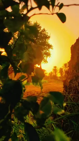 #تصويري_احترافي_الاجواء👌🏻🕊😴 #شعار_لايعرف_القانون❤✌🏻  #لايكات #fyp  #fyppppppppppppppppppppppp 