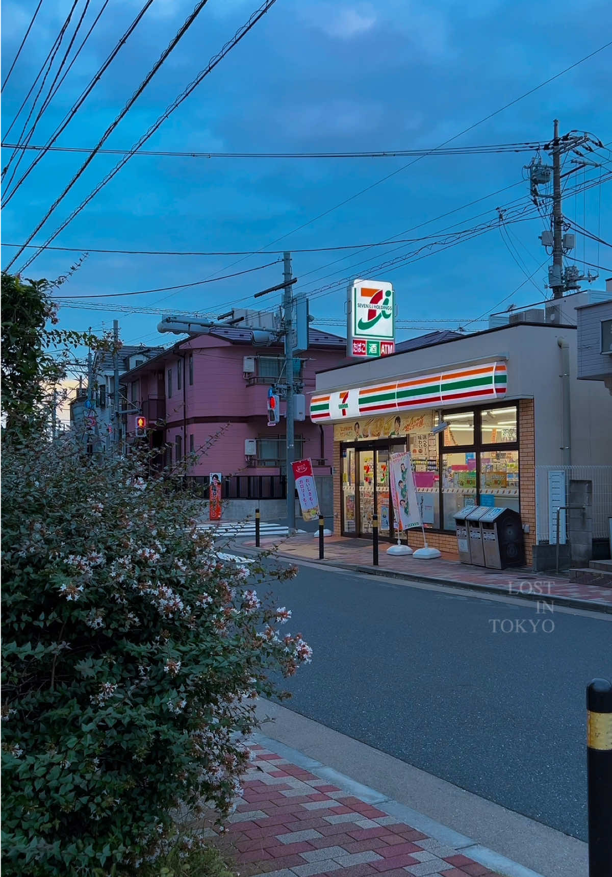 Blue hour in Tokyo just hits different. #vibe #japan #tokyo #日本 #aesthetic 