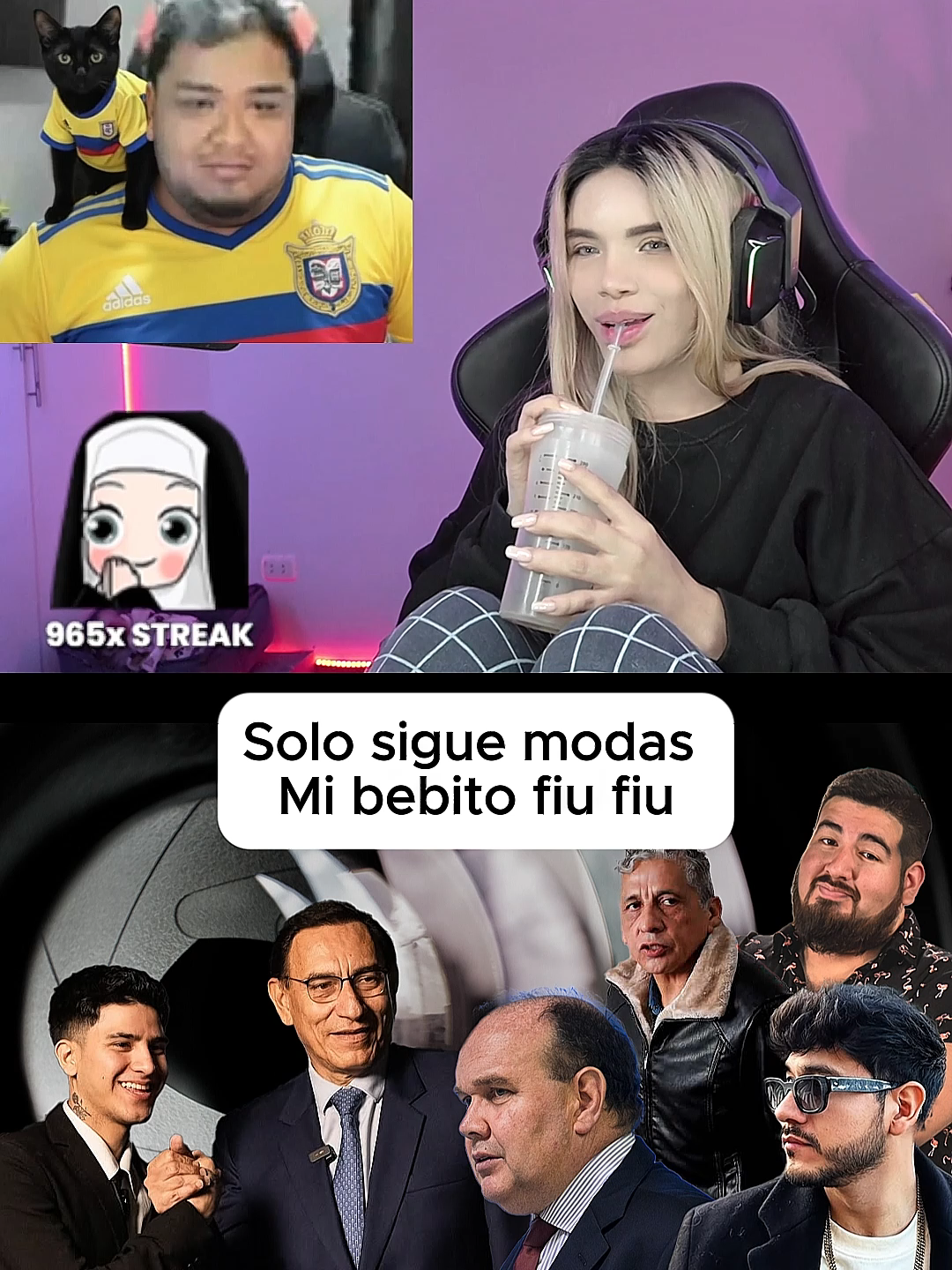 Sandraskins vizcarra mi bebito fiufiu #sandraskins #dota2 #smashdota #kick #elzein #zein #cristoratafans #vizcarra #porky #smash #milenka