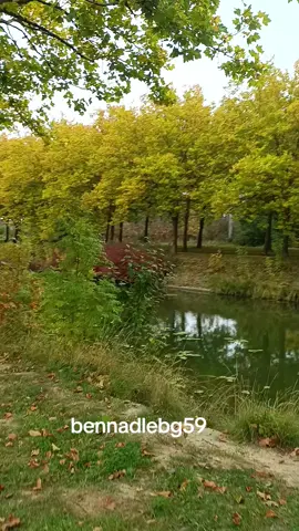 #الغربة #بلاد_الناس لناس #teej voyage #pourtoiii #fyp 