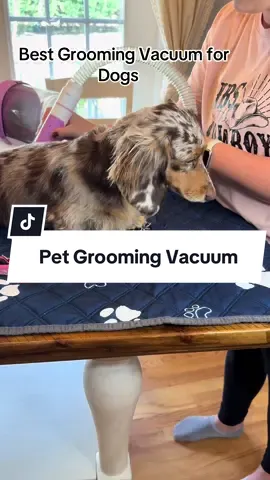 Dog Grooming vacuum  For Dogs or Cats #doggrooming #doghair #dogshedding #pethair #groomingvacuume 