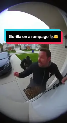 Gorilla on a rampage 🦍😤#ai #sora2 #fyp #videoviral #sora