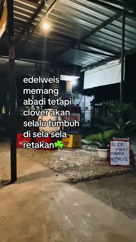 🕊️☘️ #theclovesandthetobbaco #tcat #celtics #clover #grobogan24jam #fyp #kehidupan 