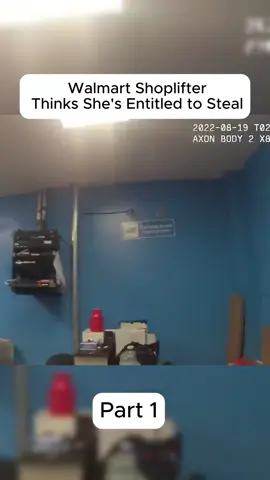 Walmart Shoplifter Thinks She's Entitled to Steal 