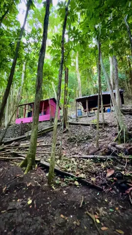 Pude cumplir el sueño de amanecer junto al río, en verdad una de las experiencias más hermosas que he tenido. #republicadominicana🇩🇴 #puertoplata #riosonador #yasica #bachata 