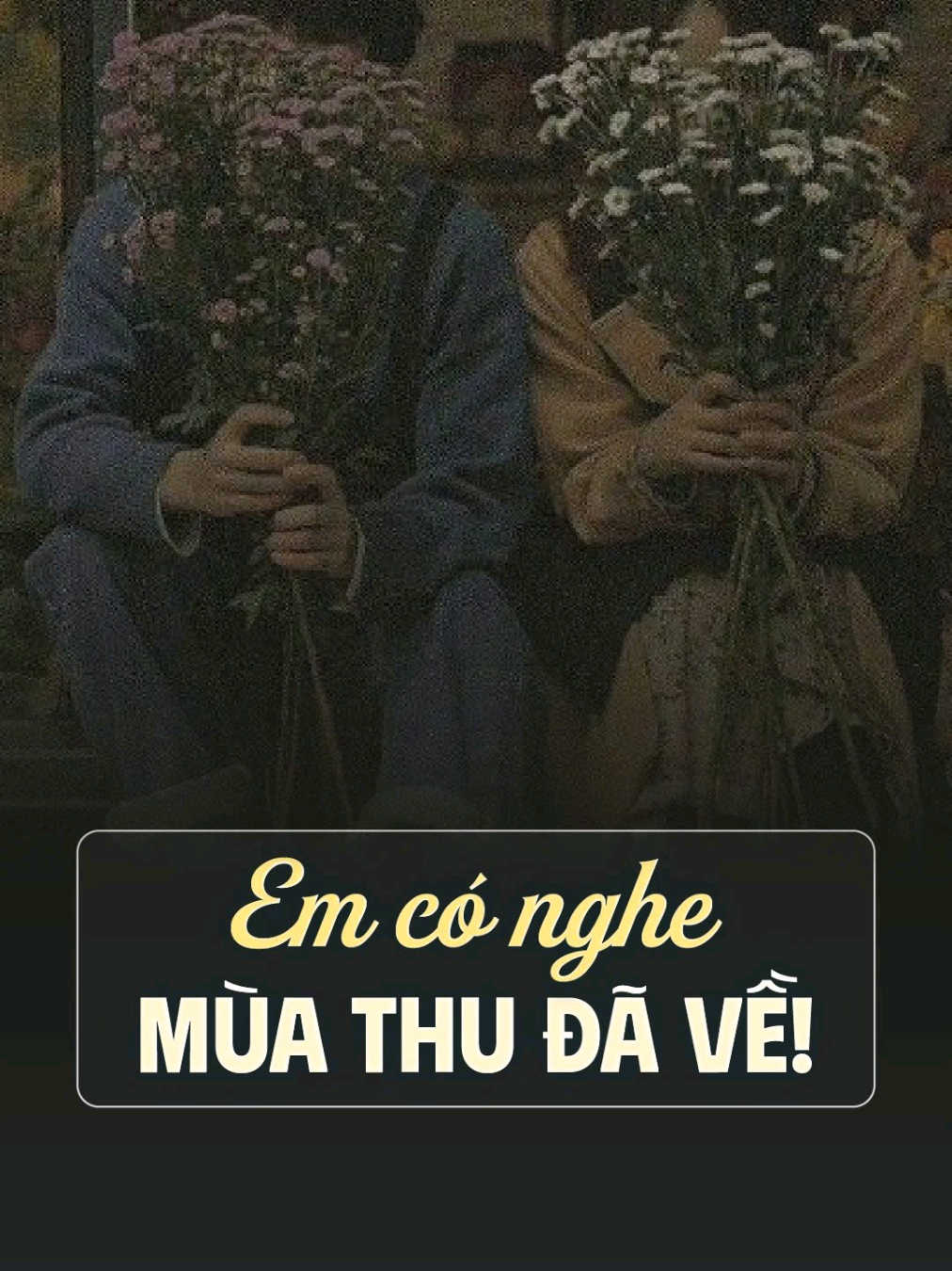 Em có nghe, mùa Thu đã về! #podcast #daicatset #nguyendinhtoan #