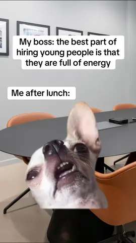 What energy 😭😭 #meme #fyp #relatable #work #funny 