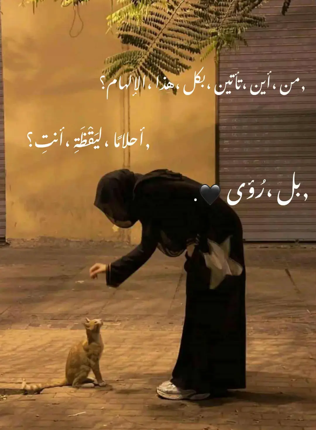 ترند، ‏من أين تأتين بكل هذا الإلهام؟ أَأَحلامًا ليَقْظَةِ أنتِ؟ بل رُؤى🥺🤍🤍🤍🤍🤍🤍.