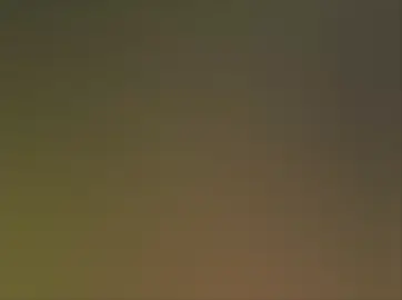 🤍🪻 #سماحة_العشق #فاطمة_درويش  #foryoupage #viral #fyp 