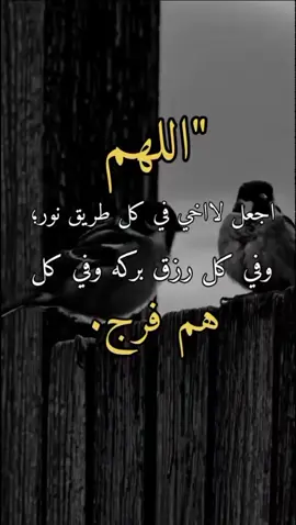 #دويتو مع @ࢪيـٰٰٰٖٖٖۧـ๋͜ــڪوُ.🚸 𝑅𝐸𝐾𝑂