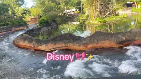 Disney life @Disney Parks 