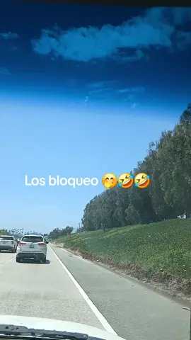 Los bloqueo #😂😂😂😂 #humortiktok #humor 