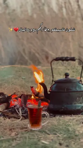 يحن عل شاي يولد 😄 شلون ناسينكم وطاريكم دوم ع البال، ٢ #هم_رجع_قلبي_يحن... المزيد 1368 ..#تصويري_احترافي_الاجواء👌🏻🕊😴 #بحيرة_عنه_غرب_الانبار  @حُطام 🖤 