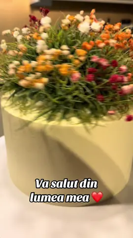#cecilia #fallowme👈 #retete #sfaturi #❤️❤️🥀🥀 