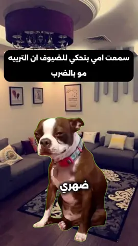 قدرو تعبي بمتابعه وشير 🫵🏻❤ #ميمز #fyp #كوميدي #رياكشن #الشعب_الصيني_ماله_حل😂😂 