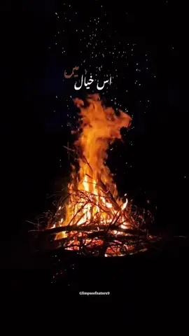 Tera Kasoor Tha Ya Mera Kasoor🥀💔 Vishal Mishra #CapCut #terakasoorhainamerakasoor #sadvibes🥀 #trendingtemplate #glimpseofnature9 