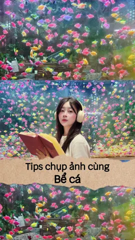 Tips chụp ảnh với bể cá 🐠 các bà đã chụp cà phê bể cá chưa thơ ơi là thơ ✨ #chupanhcunglechi #tipschupanh #phototips #trendchupanh 