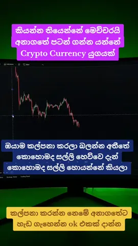 හරියට ඉගෙන ගන්න කැමතිනම් අදම මට  මැසේජ් එකක් දාන්න මුල ඉදන් කියලා දෙන්නම් #viral #srilanka #srilankan_tik_tok🇱🇰 #following #creatorsearchinsights 