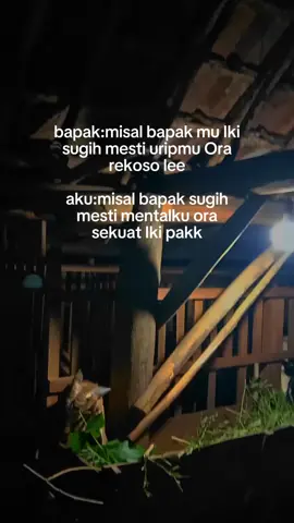 tenang ae pakk pokok Ora demam anak lanang mu siap siaga disegala medan💪🏻😇#storypeternakmuda #foryoupage #fyp 