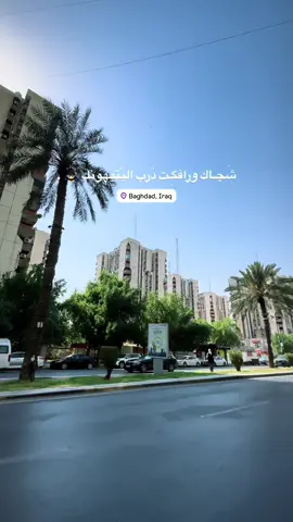 شجاك ورافگت ردب اليتيهونك 🙇🏻‍♂️🩶 #تصويري_احترافي_الاجواء👌🏻🕊😴 #تصاميم #fypシ #fyp #capcut 