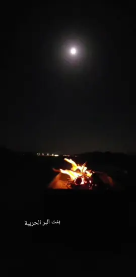 مساء الخير والسعادة لقلوبكم  #تصويري_احترافي👌  #اكسسسسبلورررر #🌹 