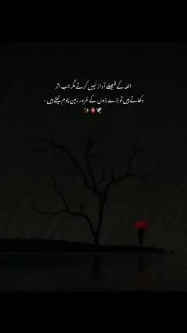 Beshaq ✨❣️ #ayezy_aesthetix #fypppviralllシ #goviral #viewsproblem😭 #unfreezemyacount 