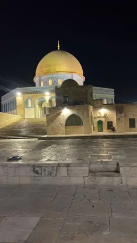 ‏فلسطيني وأفتخر ابن اللد#اكسبلور #🤲 #