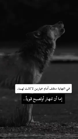 #fyp #F #f #شلفاوة_والحلاوة🔥 #شعب_الصيني_ماله_حل😂😂 