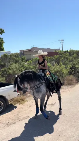 Ay cuaco 🔥😮‍💨.                                            ##caballosbailadores##🐴##español##vaquera