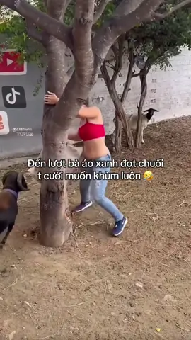 #xuhuong #fyp #viralvideo #fypシ #viral 