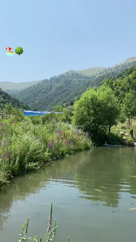 #gedebey 