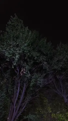 #capcut #🖤 #greenscreen #٩ #greenscreen 